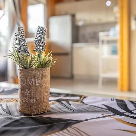 別荘 Letniskowe Figaro